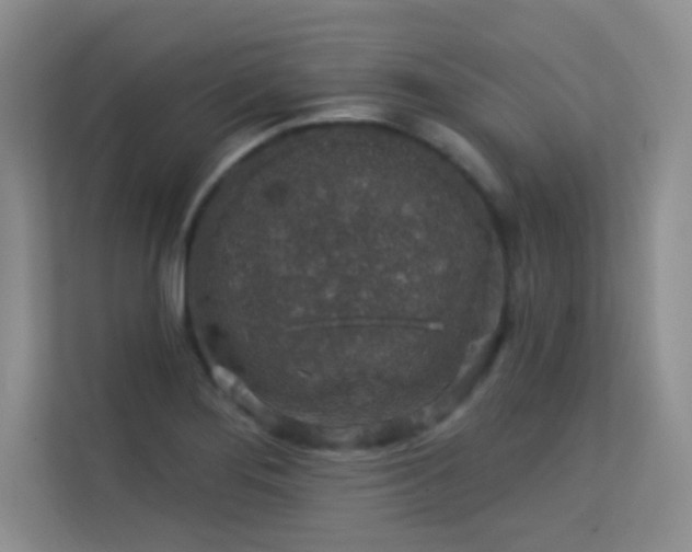 X0000113571276200909251127