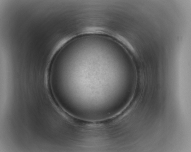 X0000113571277200909251127