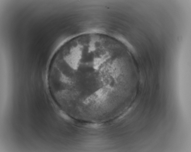 X0000113571278200909251127