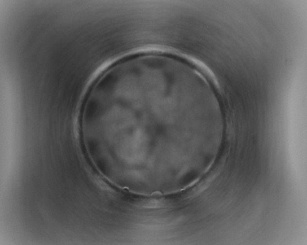 X0000113571279200909251127