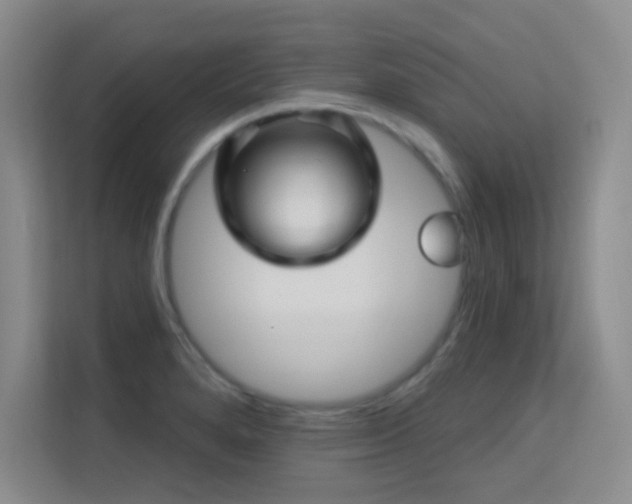 X0000113571280200909251127