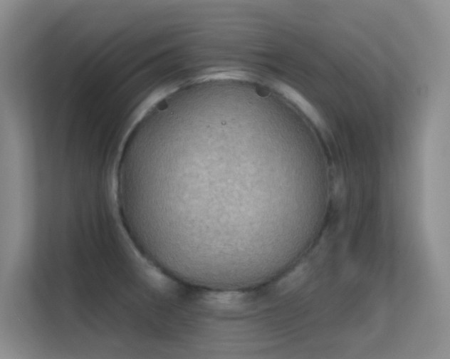 X0000113571282200909251127