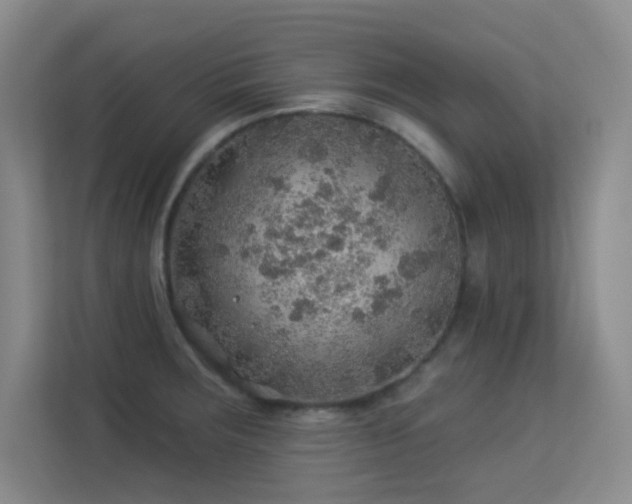 X0000113571283200909251127