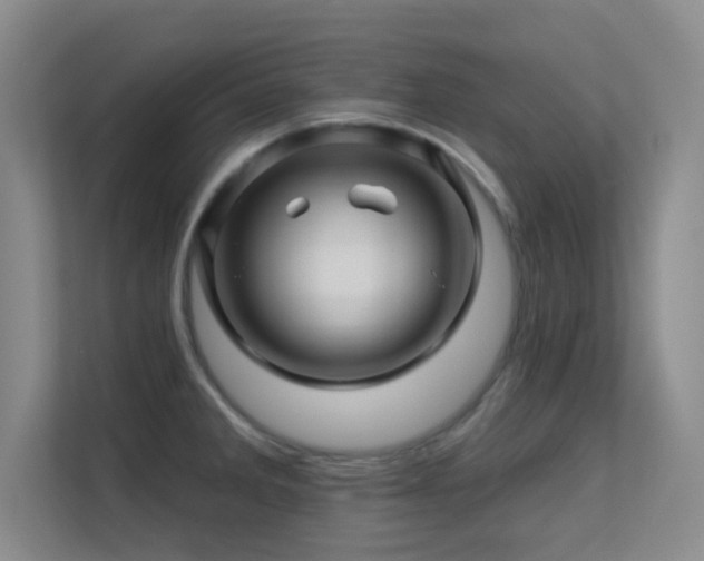 X0000113571285200909251127