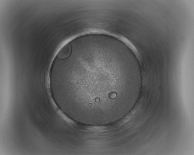 X0000113571287200909251127