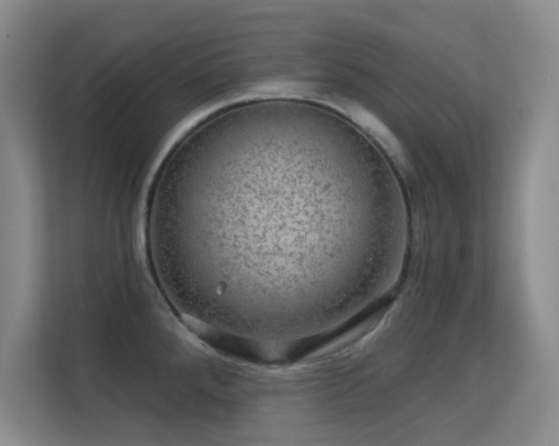 X0000113571288200909251127