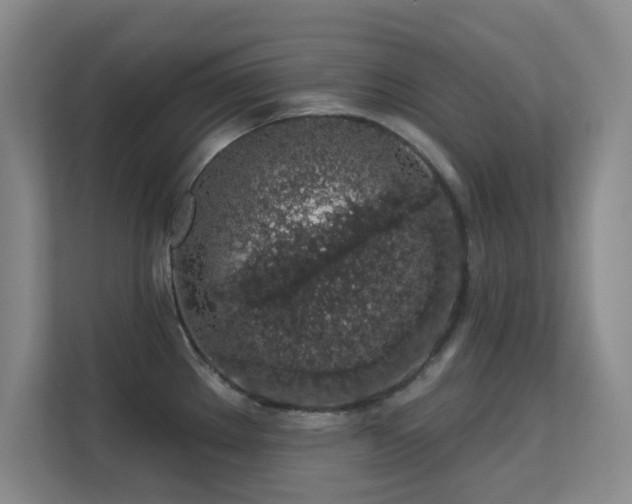 X0000113571289200909251127