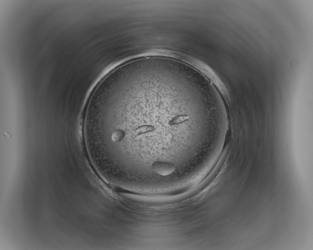 X0000113571292200909251127