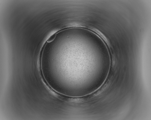 X0000113571293200909251127