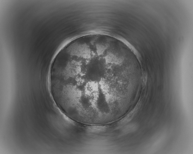 X0000113571294200909251127