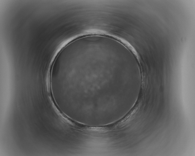 X0000113571295200909251127