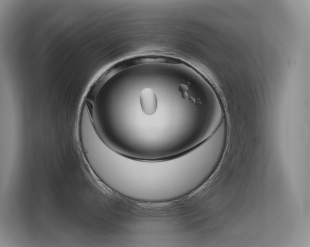 X0000113571296200909251127