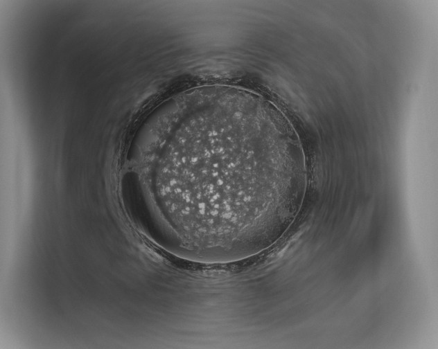 X0000113571297200909251126