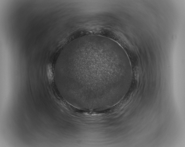 X0000113571298200909251126