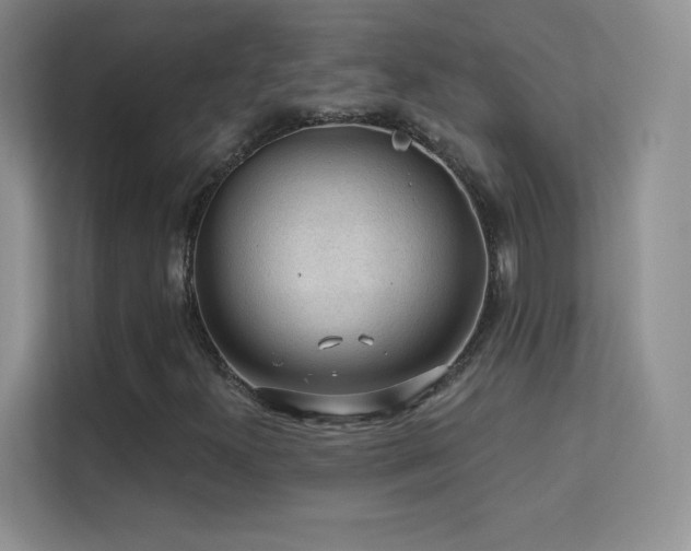 X0000113571300200909251126