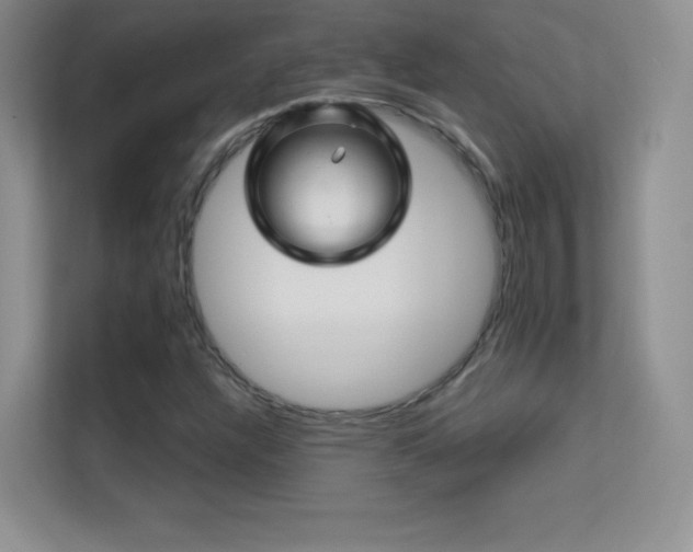 X0000113571304200909251126