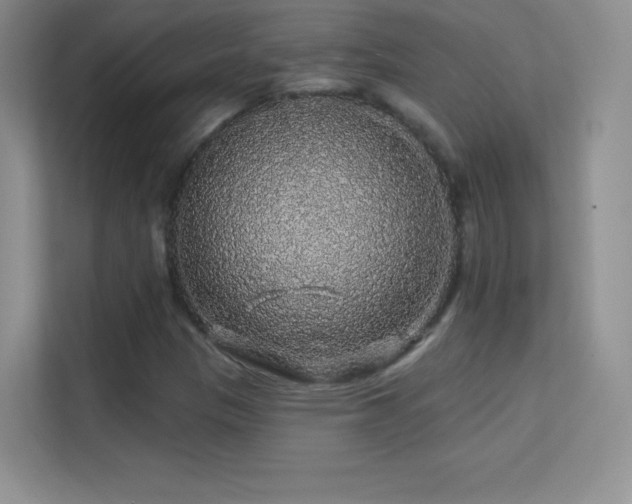 X0000113571305200909251126