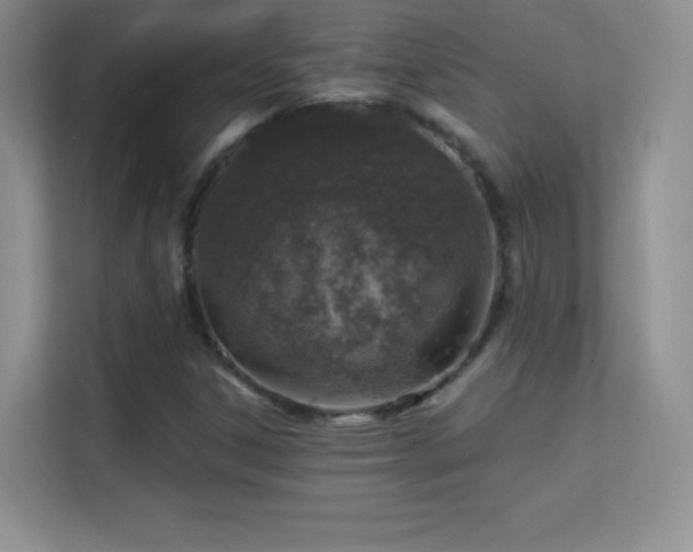 X0000113571306200909251126