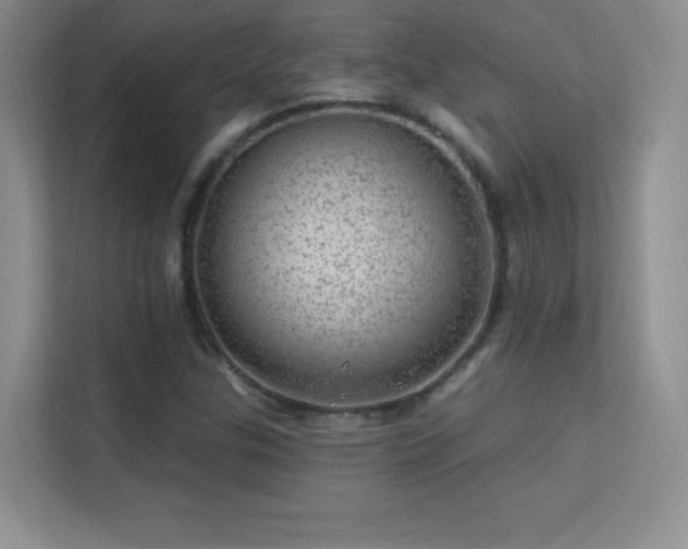 X0000113571307200909251126