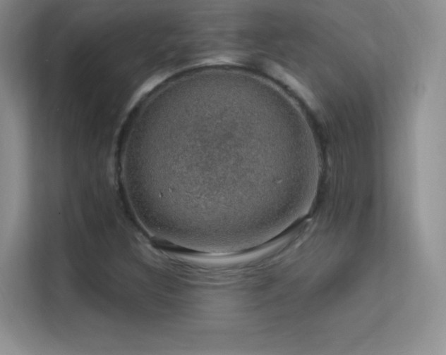 X0000113571308200909251126