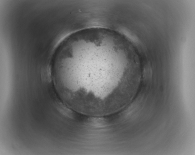 X0000113571310200909251126