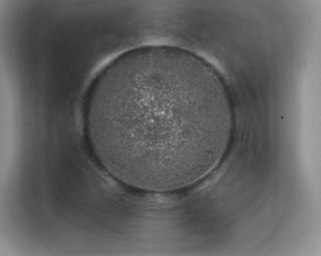 X0000113571311200909251126