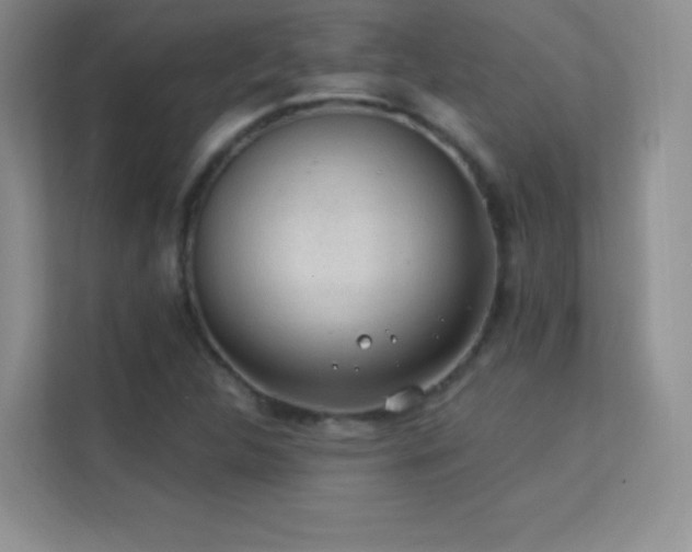 X0000113571312200909251126