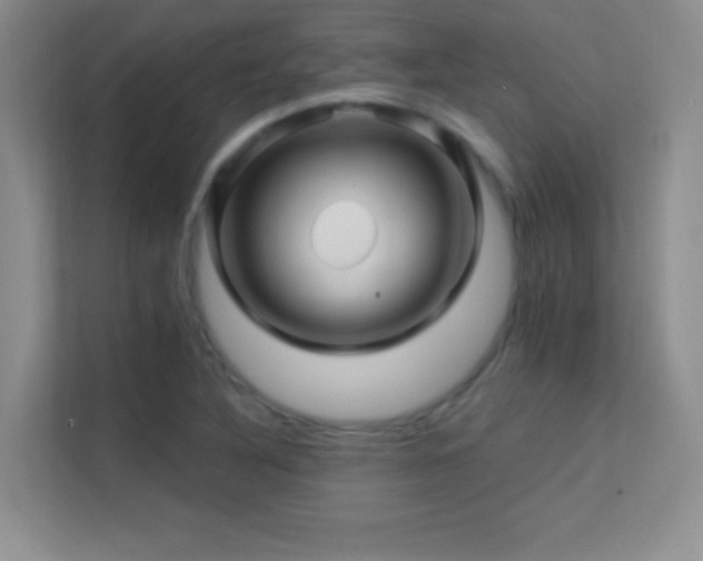 X0000113571316200909251126