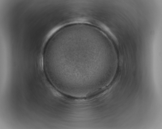 X0000113571320200909251126