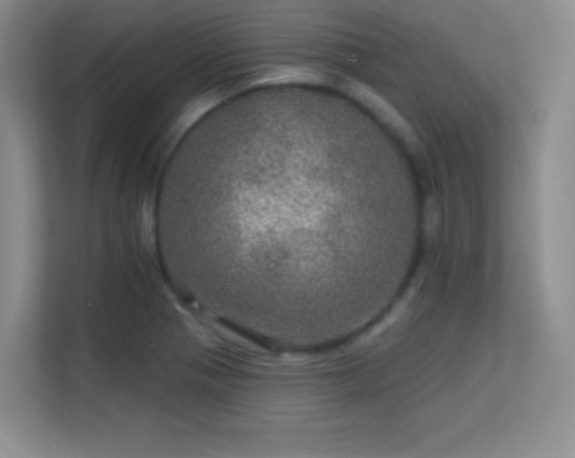 X0000113571321200909251126