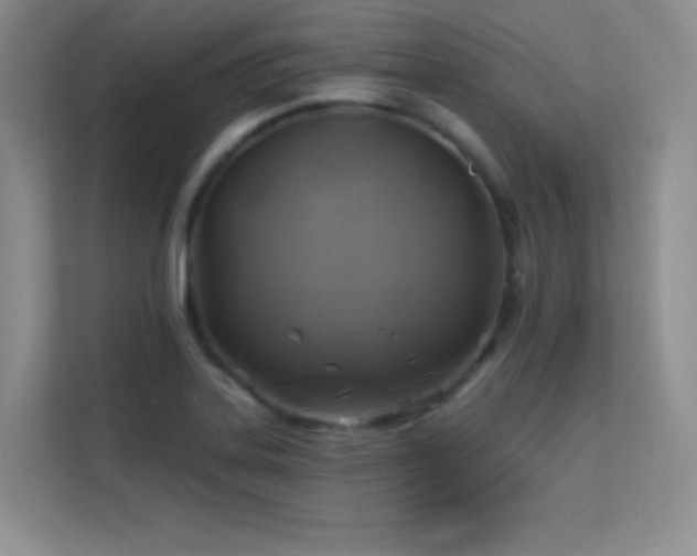 X0000113571323200909251126
