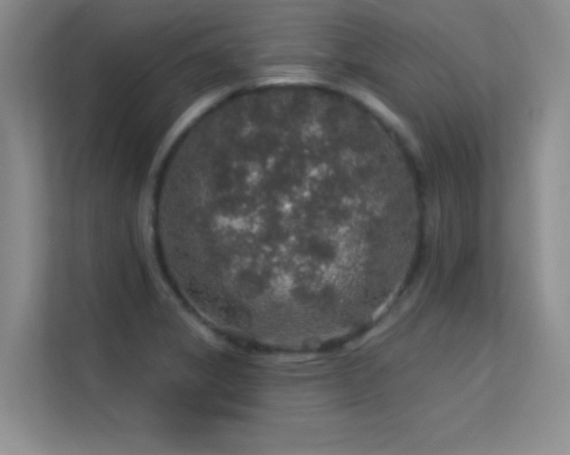 X0000113571325200909251126