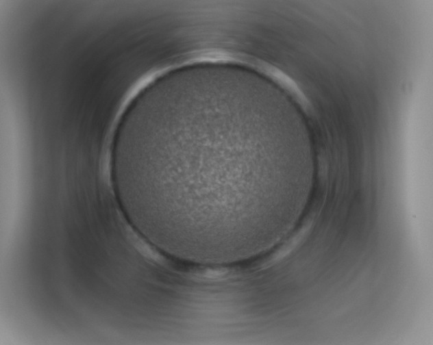 X0000113571326200909251126