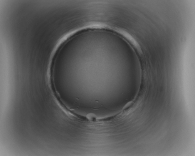 X0000113571327200909251126