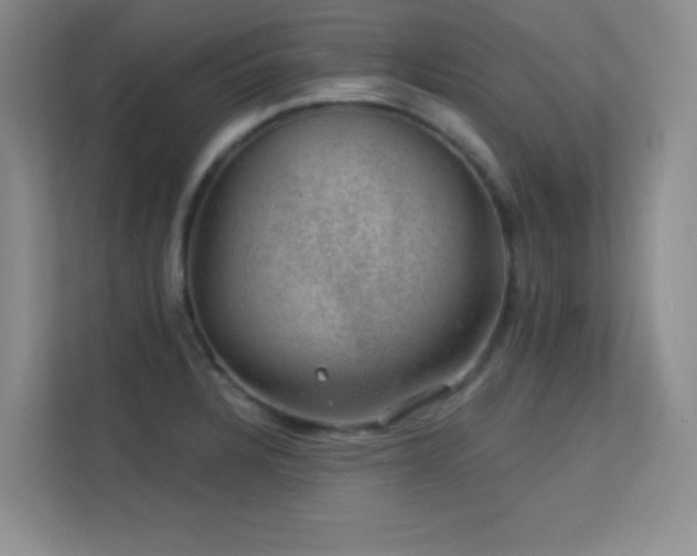 X0000113571328200909251126