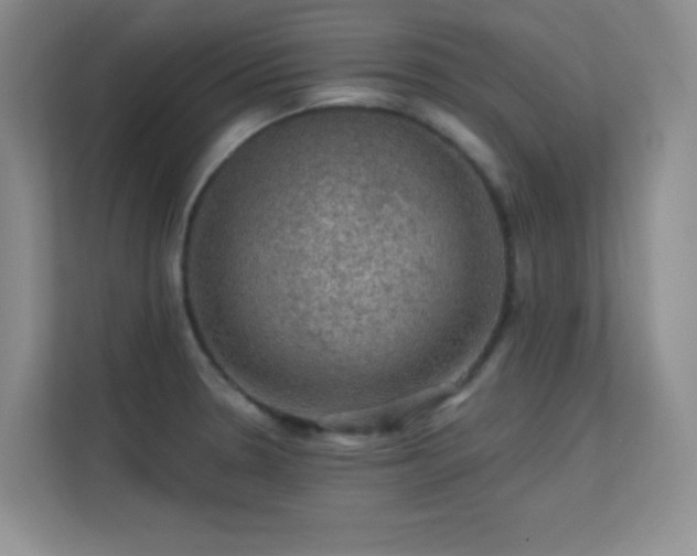 X0000113571330200909251127