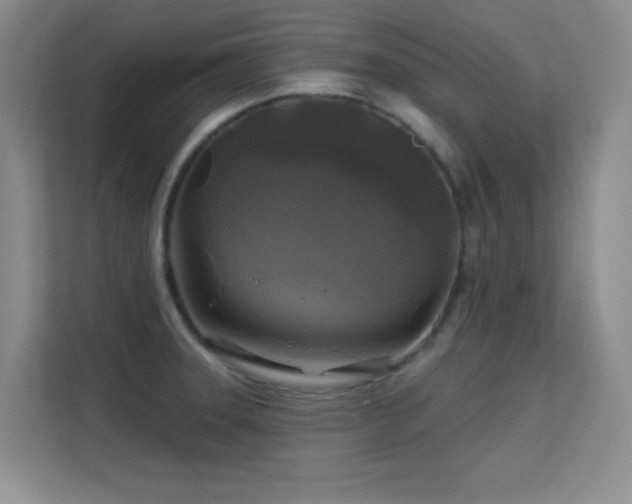 X0000113571331200909251127
