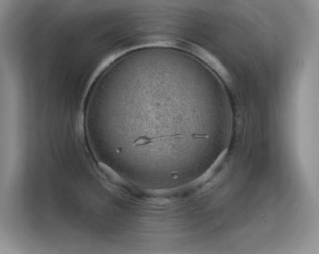 X0000113571332200909251127