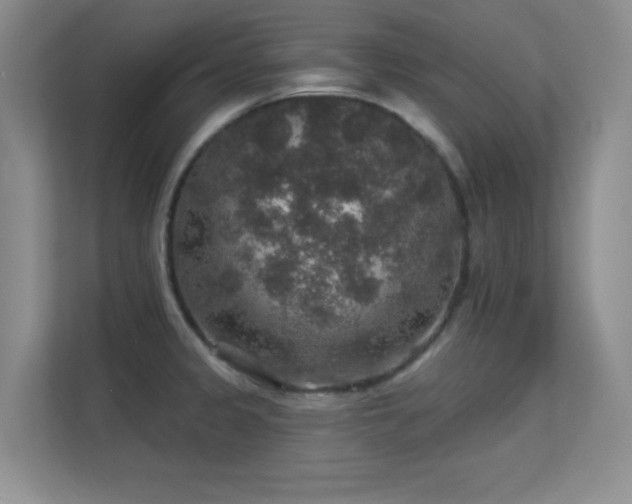X0000113571333200909251127
