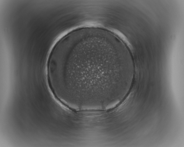 X0000113571335200909251127