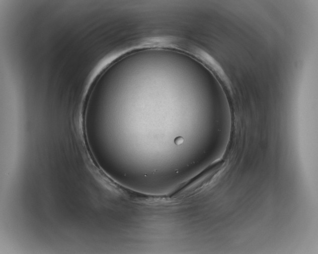X0000113571336200909251127