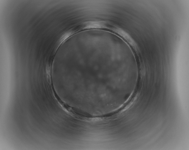 X0000113571337200909251127