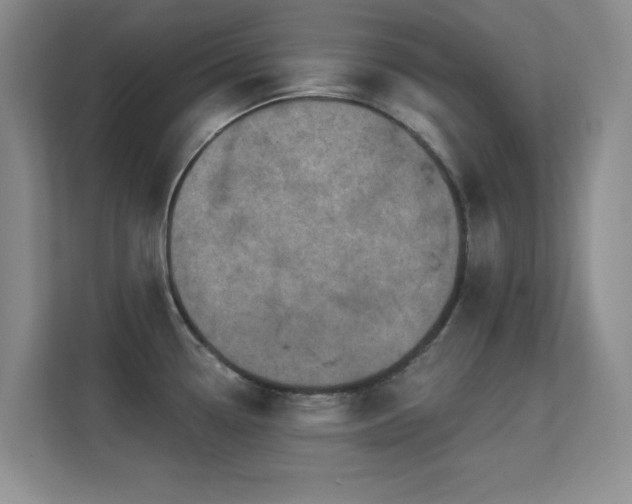X0000113571338200909251127