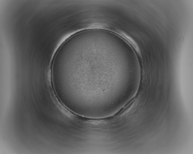 X0000113571340200909251127