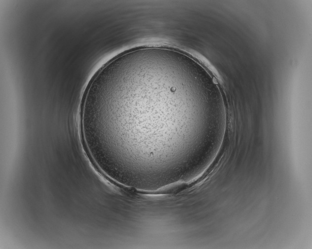X0000113571343200909251127