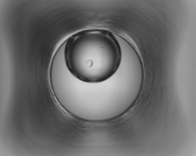 X0000113571344200909251127