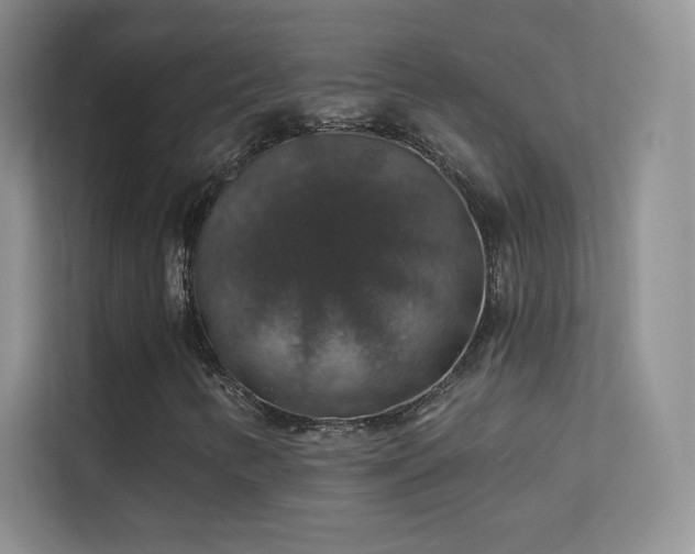 X0000113571346200909251126