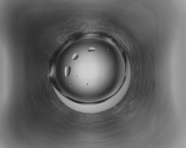 X0000113571348200909251126
