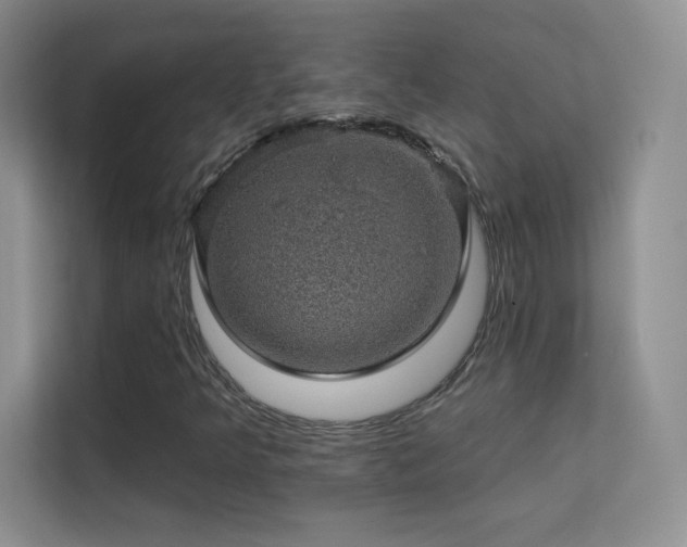 X0000113571349200909251126