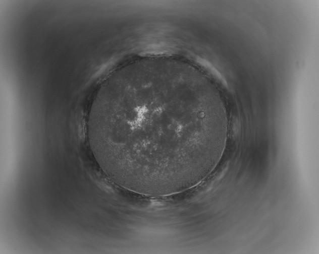 X0000113571350200909251126
